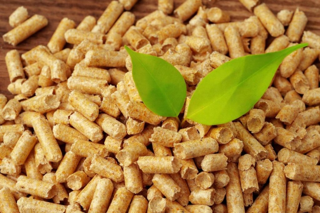 Eco friendly wood pellets supplier